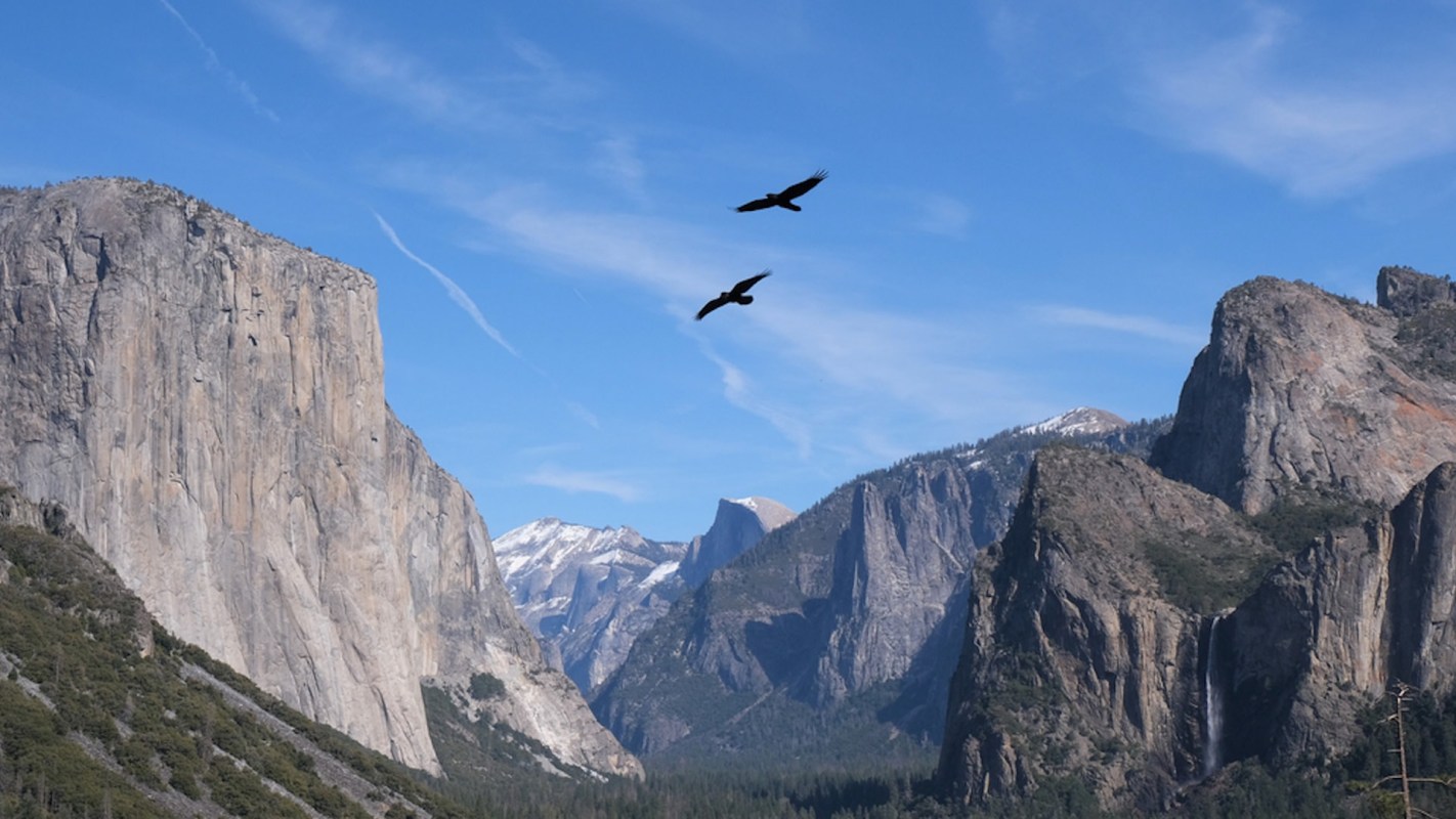 "It is just beautiful to see them in the wild and to share that rock with them."