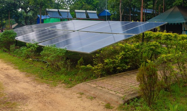 One study found that insect abundance tripled over five years at two Minnesota solar sites. Native bee populations skyrocketed twentyfold.