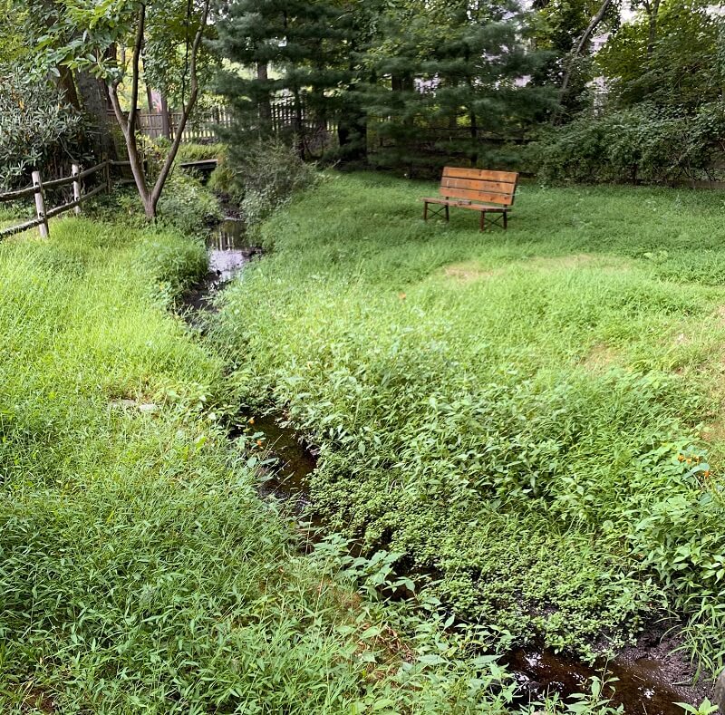 "It feels so good to see your hard work pay off with biodiversity."