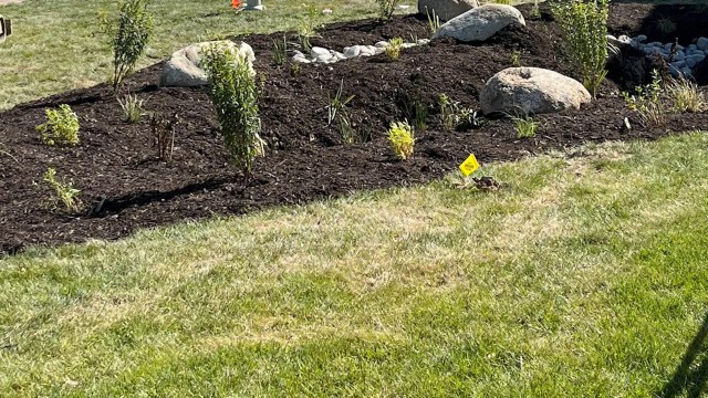 Transitioning to a more natural lawn by incorporating native plants and grasses into landscaping designs doesn't just help protect against flooding and erosion.