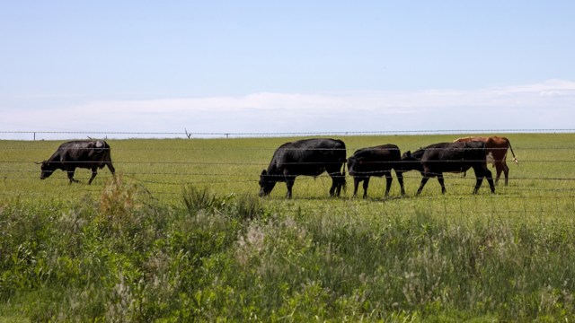 The workings on the farm are part of a larger movement to reduce methane pollution caused by cattle.