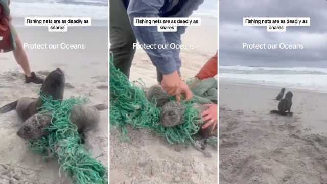 "It was a very tangible reminder of how important it is to educate ourselves, clean up our beaches, and work to ensure plastic and things like this are not in our oceans."