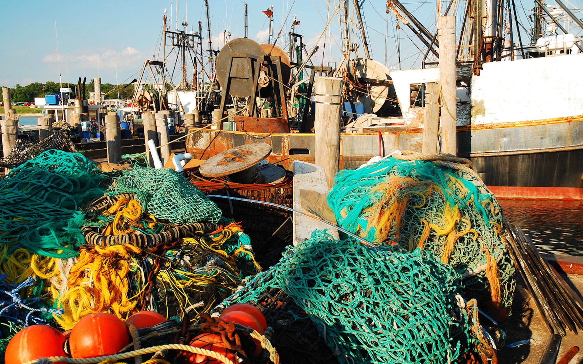 "Our marine resources are critical to both our environment and our economy, especially across Long Island."