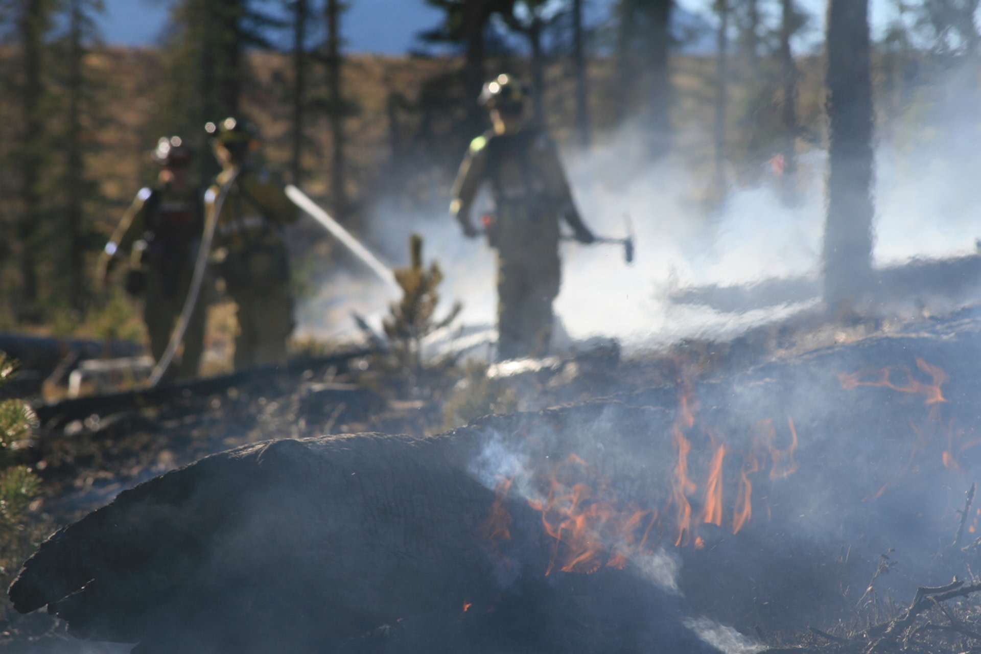 Scientists make concerning discovery about toxins in headwaters after ...