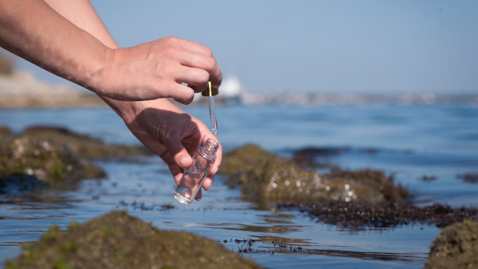 Wood-Derived Electrode Revolutionizes Seawater Electrolysis for Green Hydrogen Production