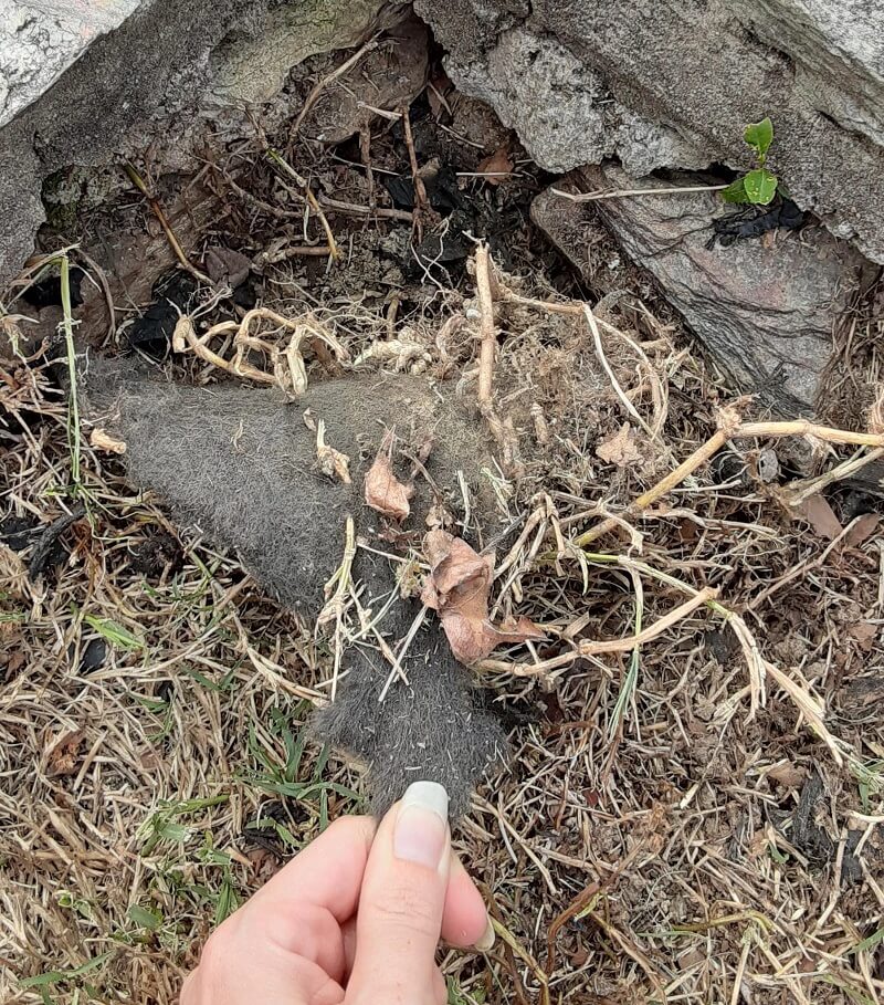 "This will not work to stop weeds in any meaningful way."