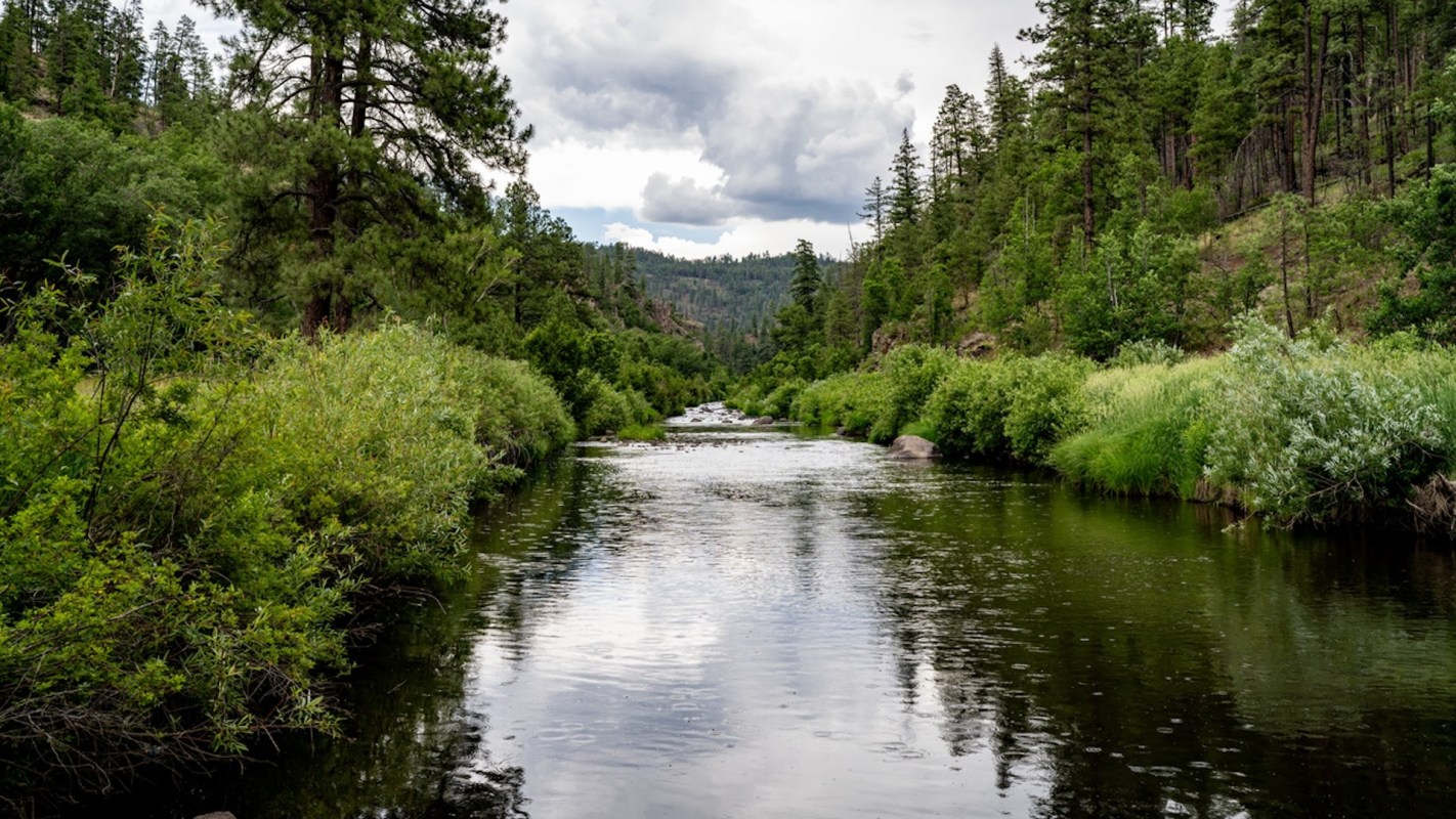 While it's no longer listed as threatened, the fish are imperiled by droughts and wildfires.