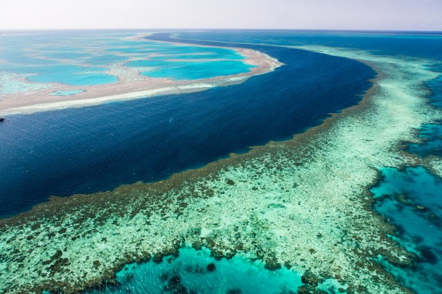 The latest funding is to "make sure the beauty and majesty of the Reef can be enjoyed for our kids and grandkids."