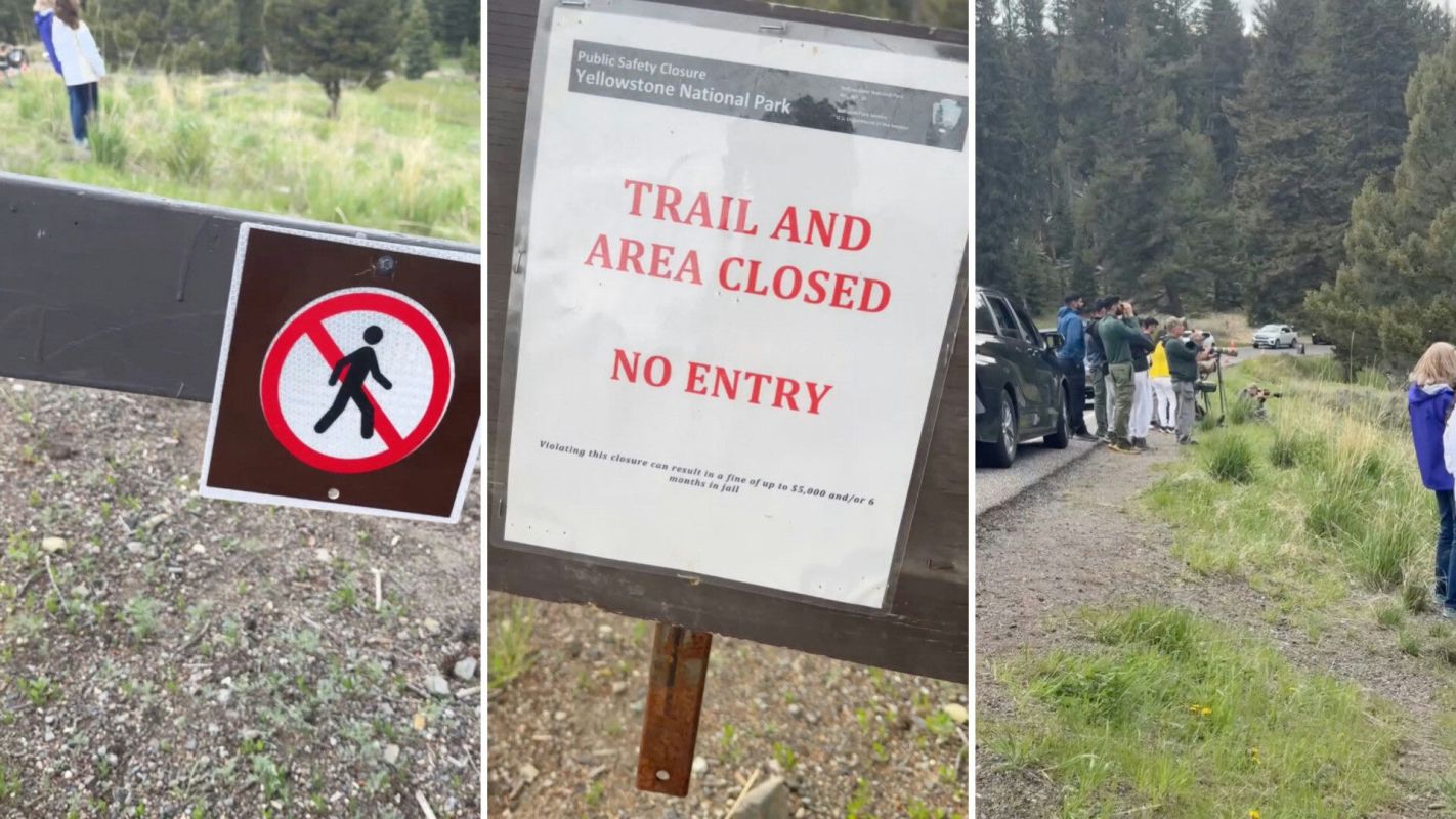 "Every one of those people should be fined and not allowed in a national park for at least a year."