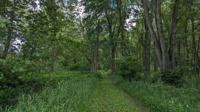 "We really believe that part of safeguarding Michigan's land and water is making it available to the public, so they can connect with nature."