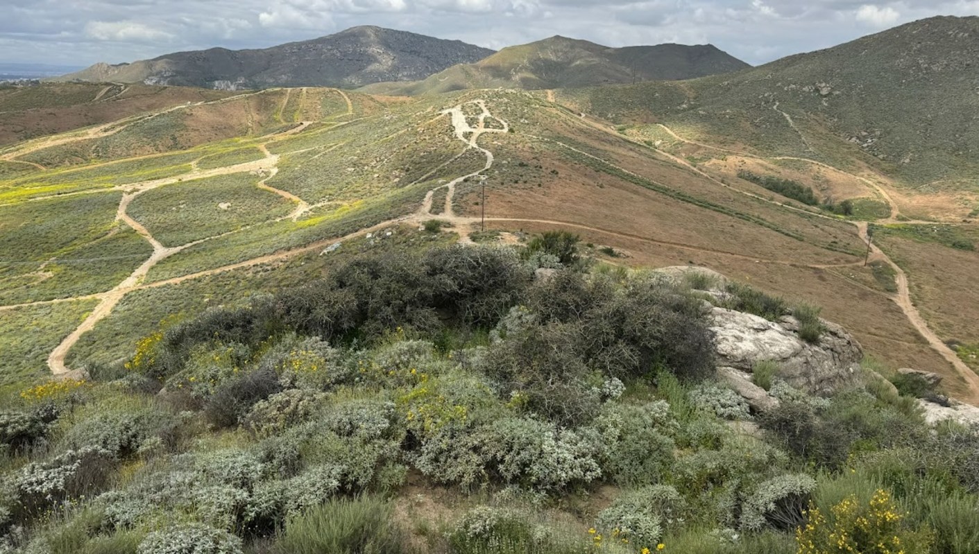 "A living symbol of our ancestral connection to this land."