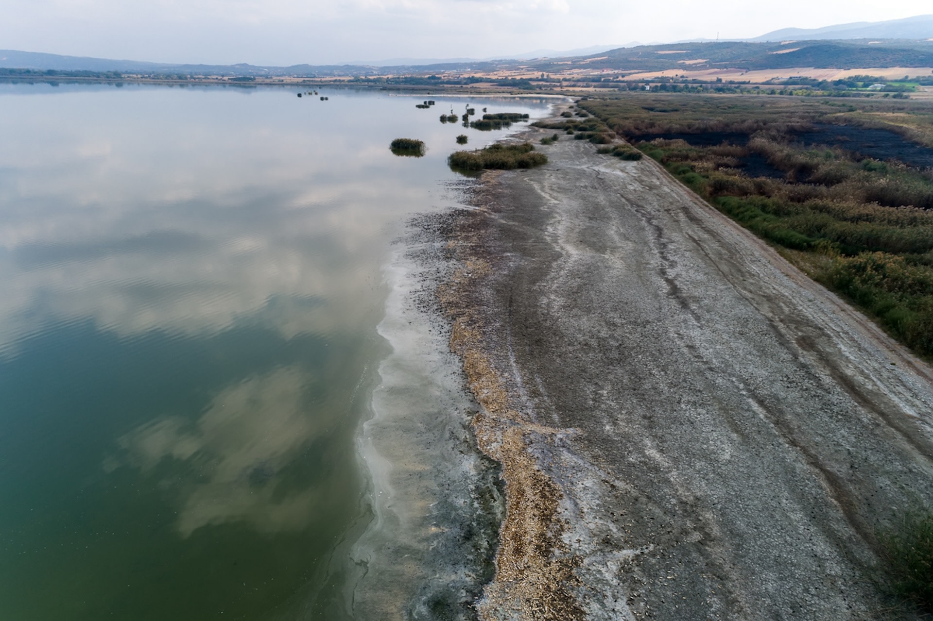 The lake is drying up and leaving behind cracked earth and pungent dead fish.