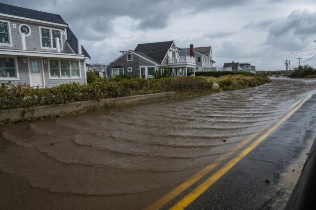 "Building resilient infrastructure and restoring ecosystems are vital."