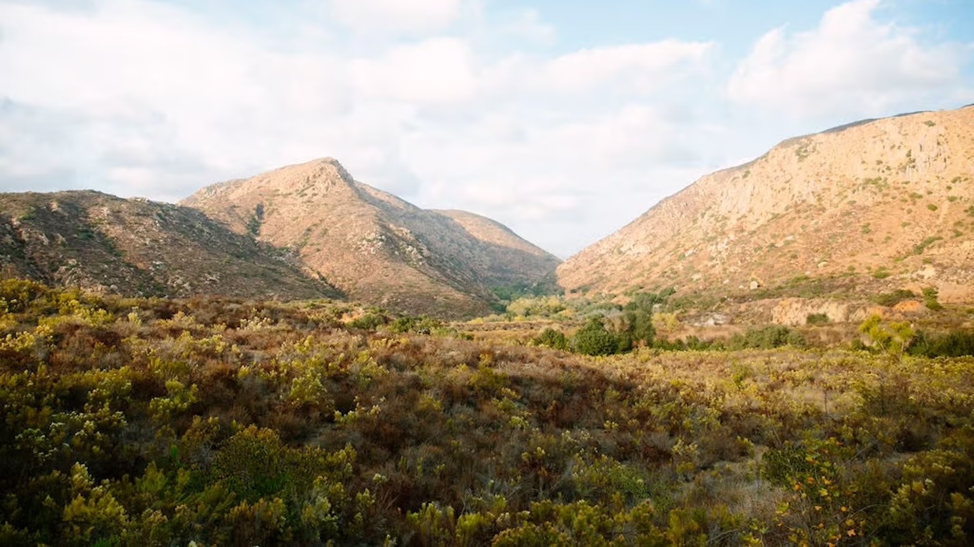 "This land acquisition supports conservation, will allow for public access, and increase understanding of natural spaces."