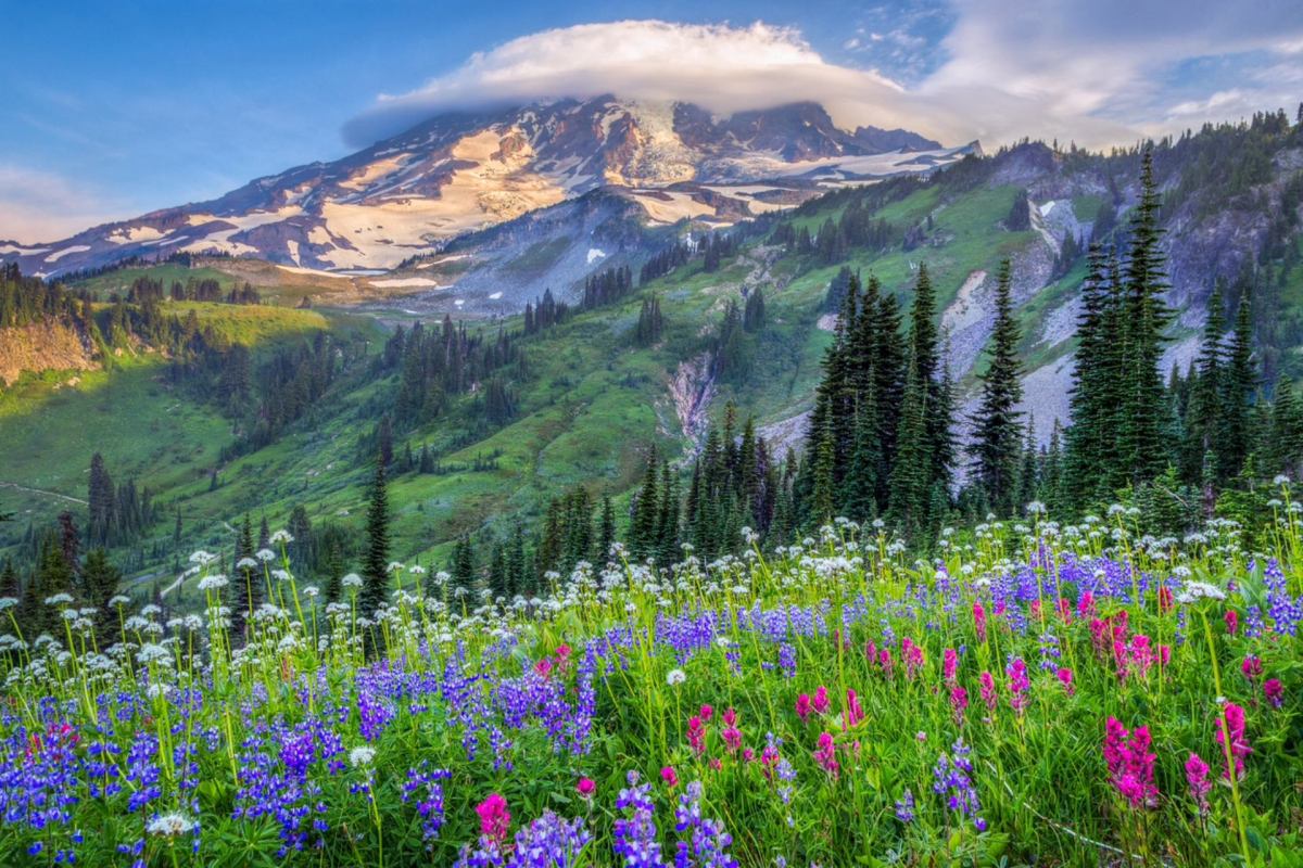 The National Park Service calls on visitors to its sites to observe park etiquette and not leave trails unless it's absolutely necessary.