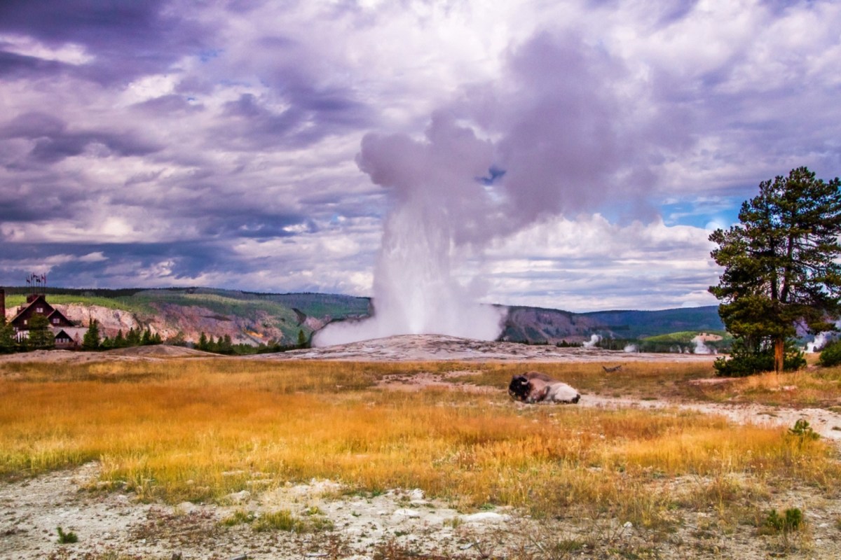 Thermal areas are a marvel to see, but as the park noted, the ground is "fragile and thin" with "scalding water" right below the surface.