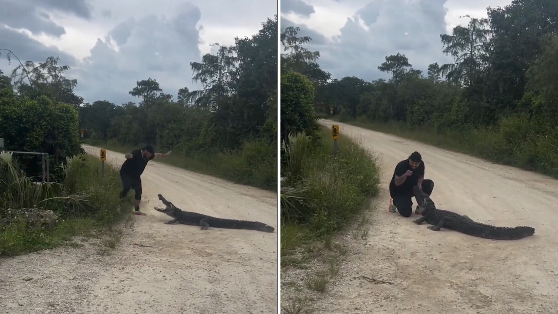 "We just out here bullying gators now I see."