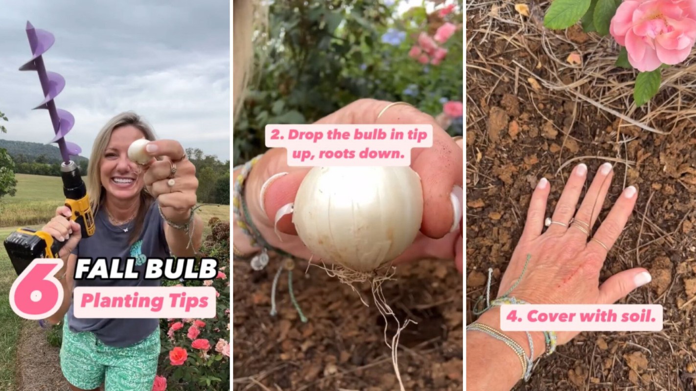 Gardener shares simple planting method for the best blooms: 'So excited to plant more bulbs this fall'