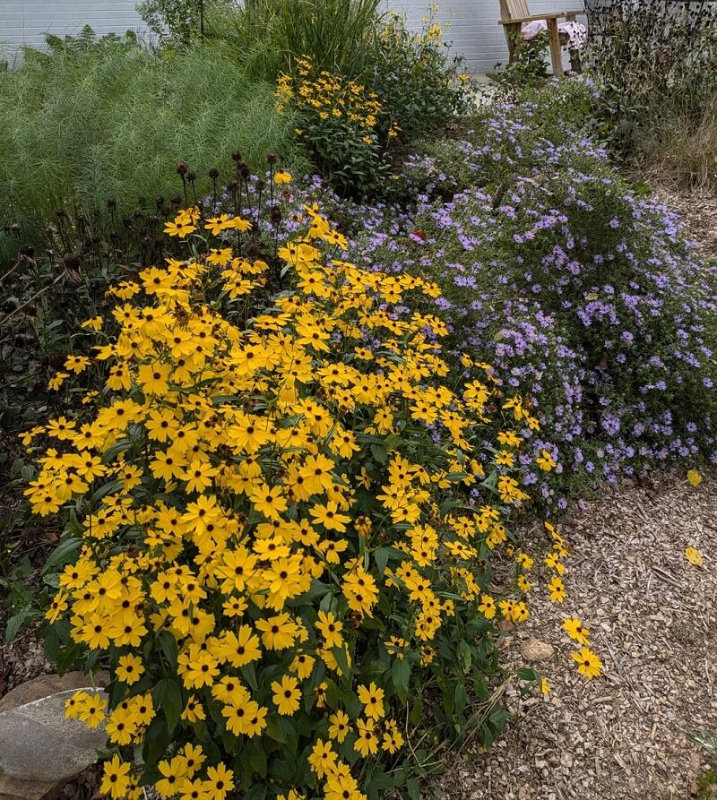 "You really do great at showing how beautiful our natives can be."