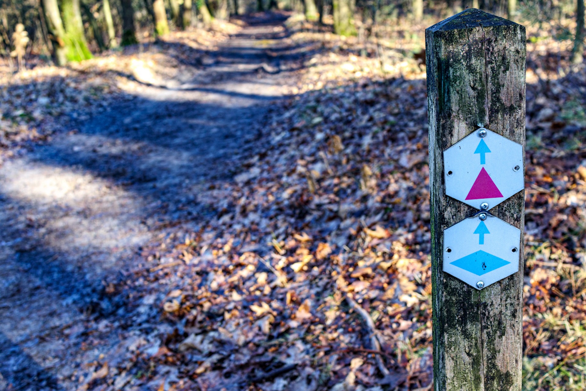 "Whether it’s all right to leave pieces of paper on hiking trails is another question."