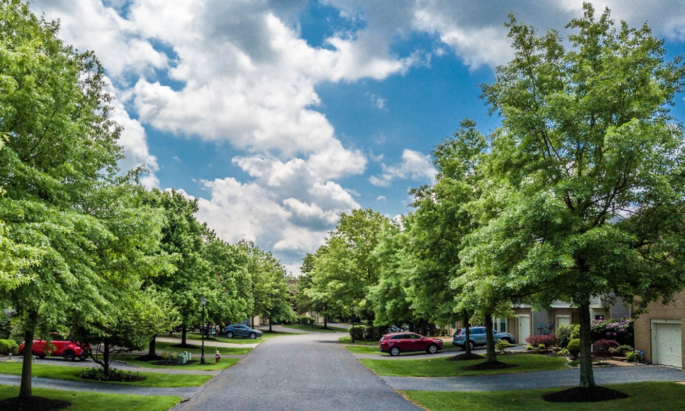 "You definitely would want to check with your local ordinances."