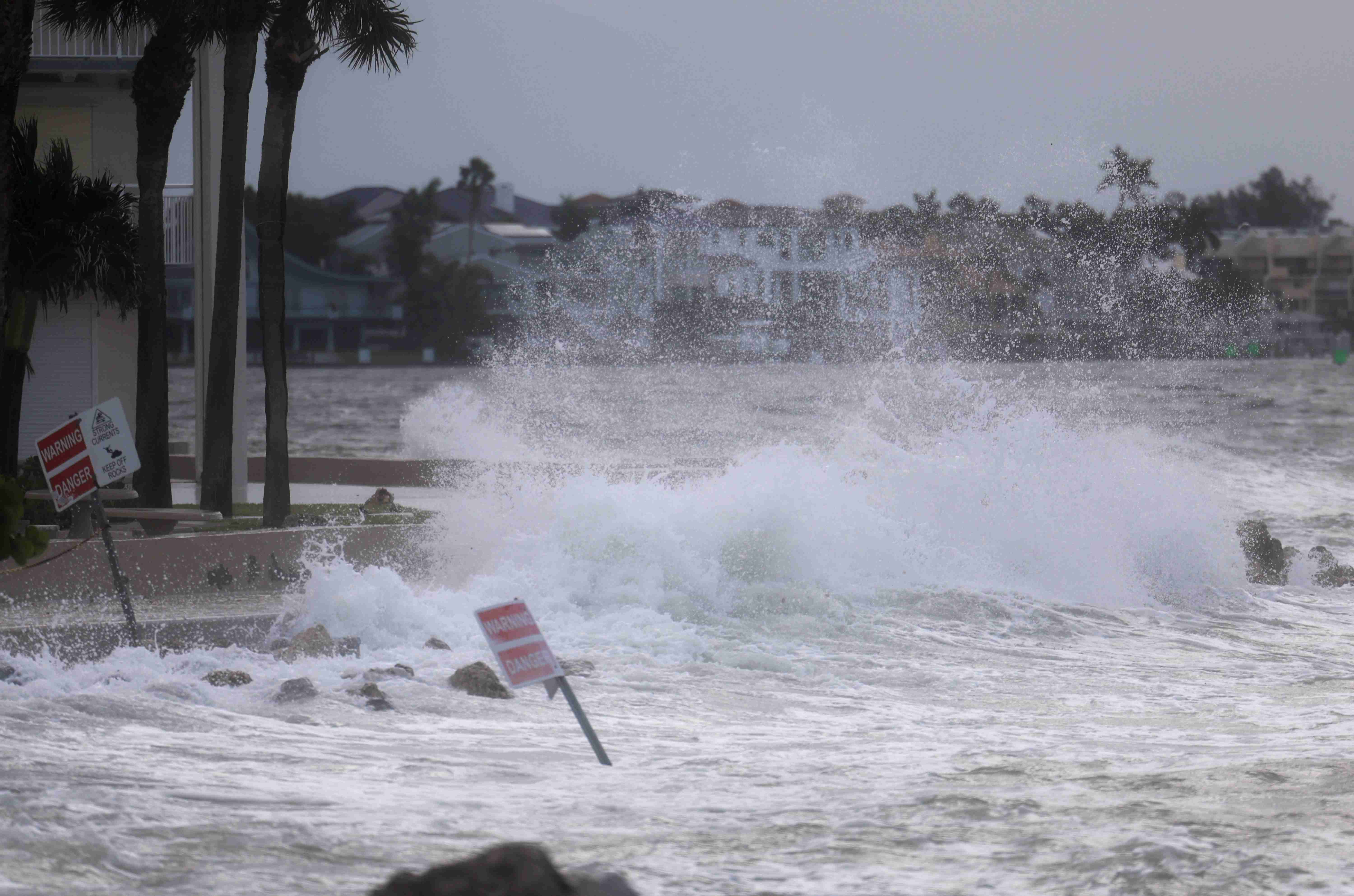 Events like this highlight the critical impact of extreme weather on wildlife.