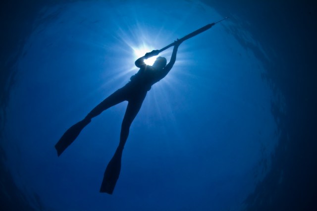 "The Lionfish Challenge raises awareness of this invasive species."