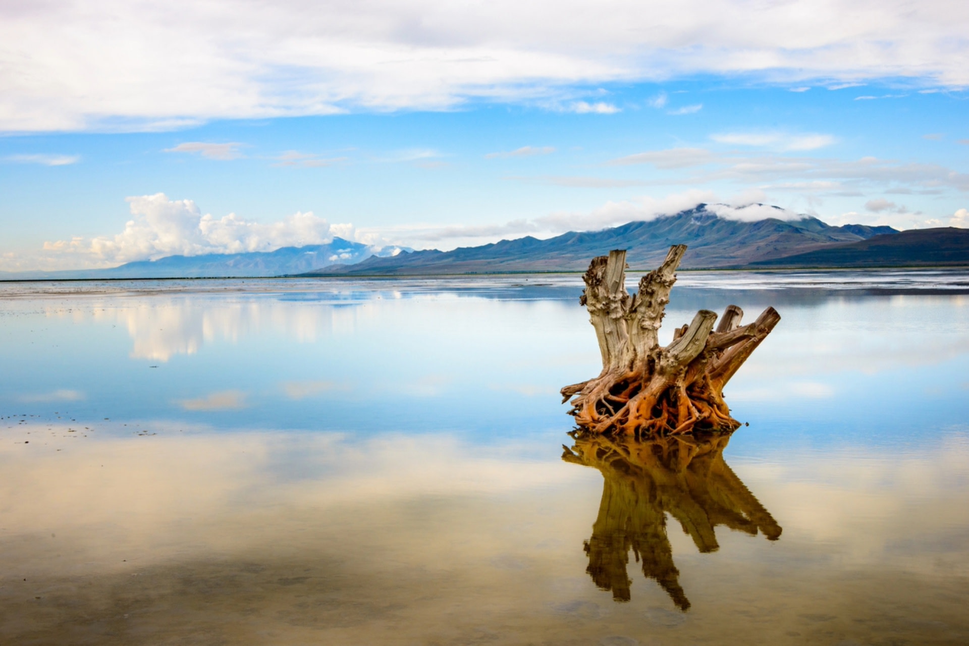 By donating water and land to the lake, the company is not only protecting the lake from drying up but also safeguarding the ecosystems that rely on the lake for survival.