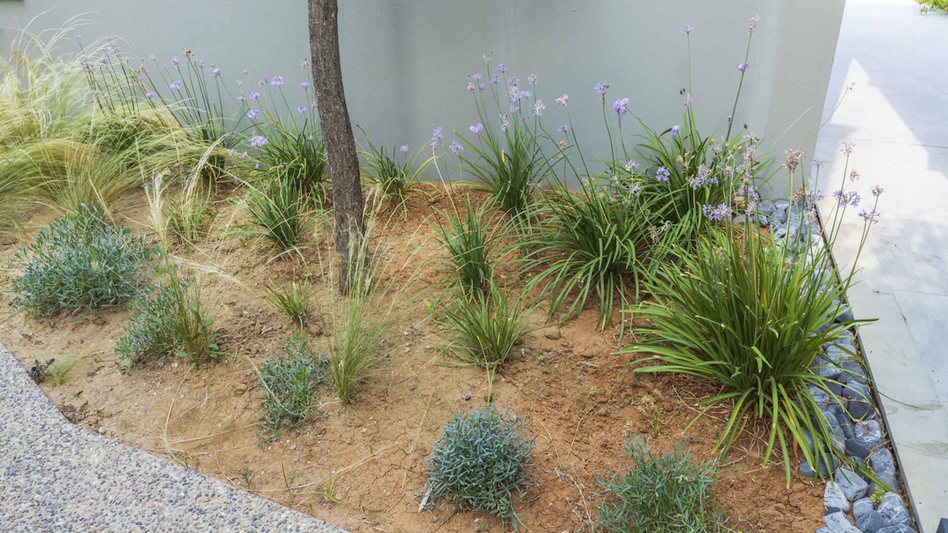 Extra vegetation around a house is an additional fire risk, especially during state water emergencies when watering plants may be restricted.