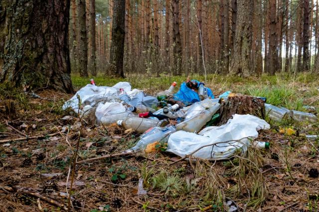 "They certainly don't decompose either."