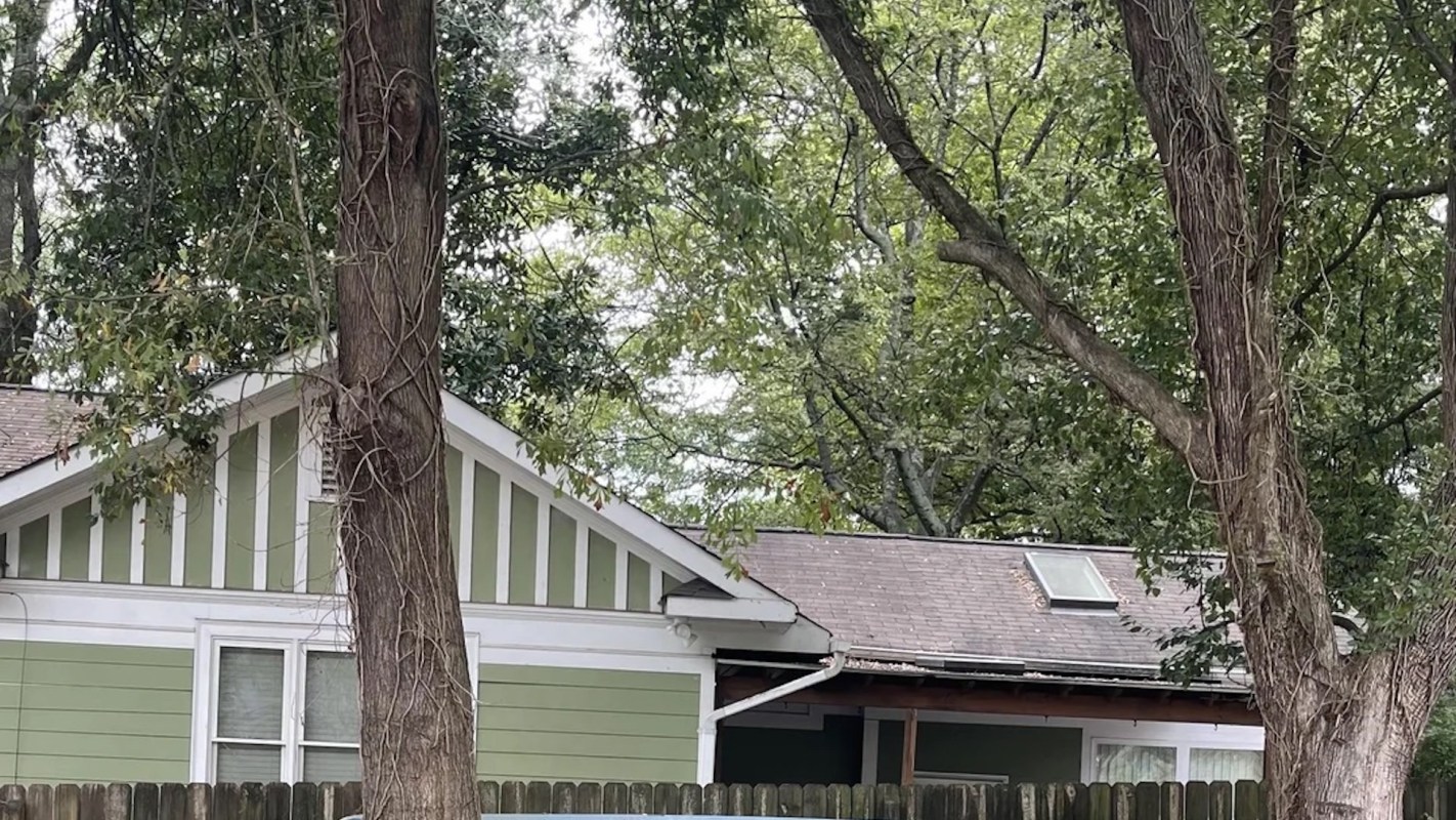 "I park under this oak and Bradford pear tree every day and it's a muddy mess when it rains."