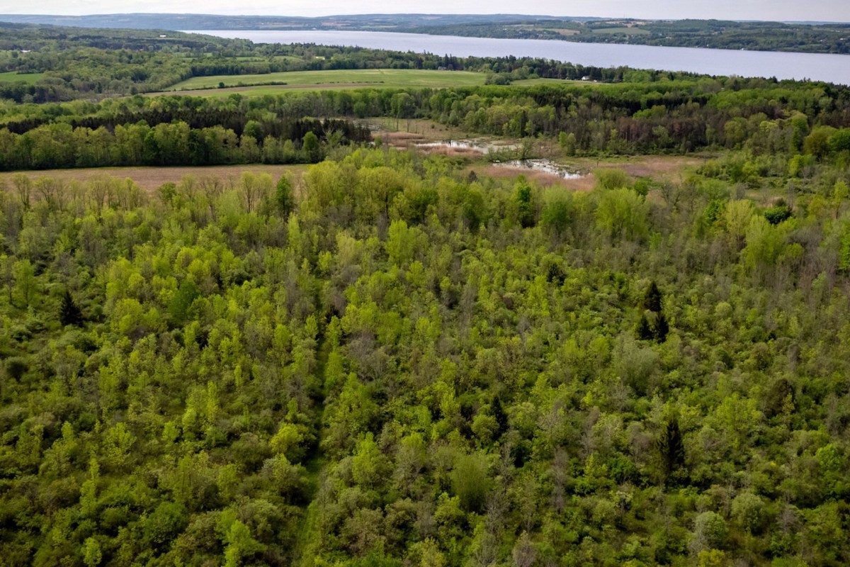 In addition to helping safeguard drinking water, the conservation area will be open to the public, giving residents access to enjoy nature.