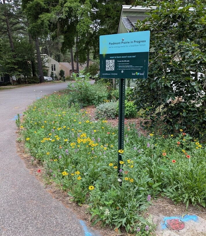 "It's like the Prairie Project bursts with color overnight!"