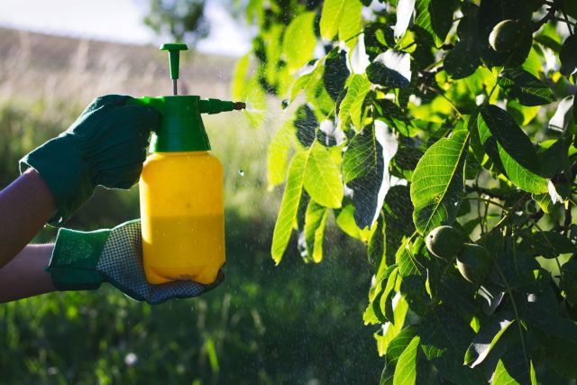 During this delay, the process used to test the effects of pesticides was greatly weakened.