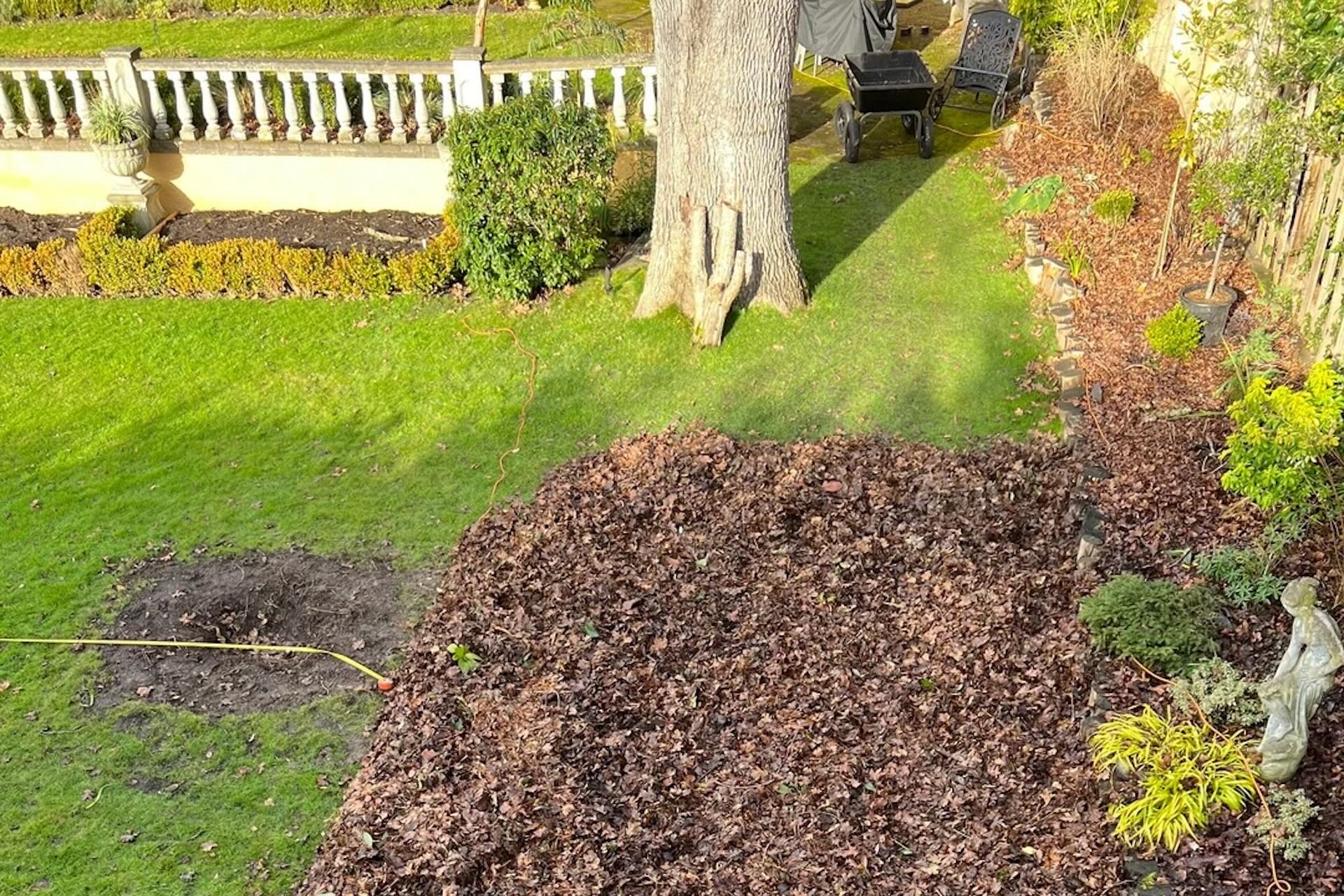 Homeowner shares remarkable before-and-after photos after ripping out lawn: 'Could you do a wikiHow?'