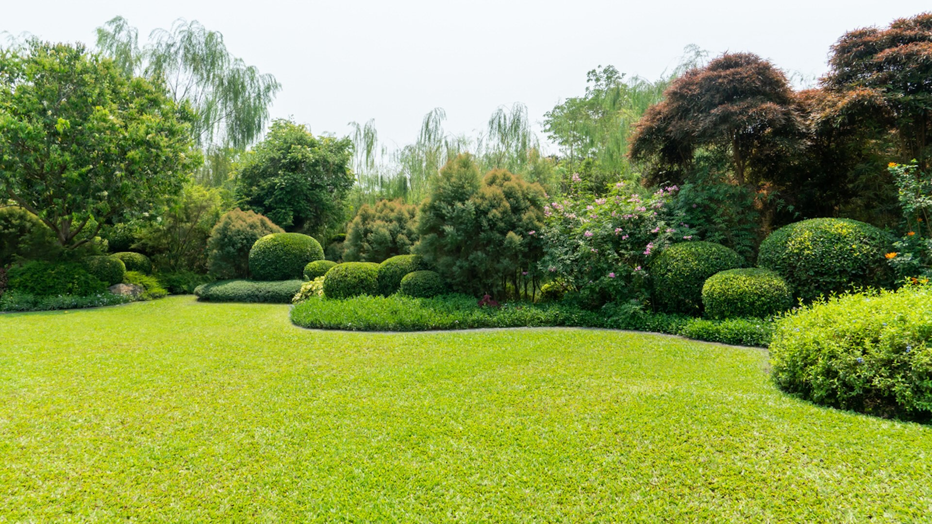 This low-maintenance approach is music to the ears of anyone tired of constant lawn care.