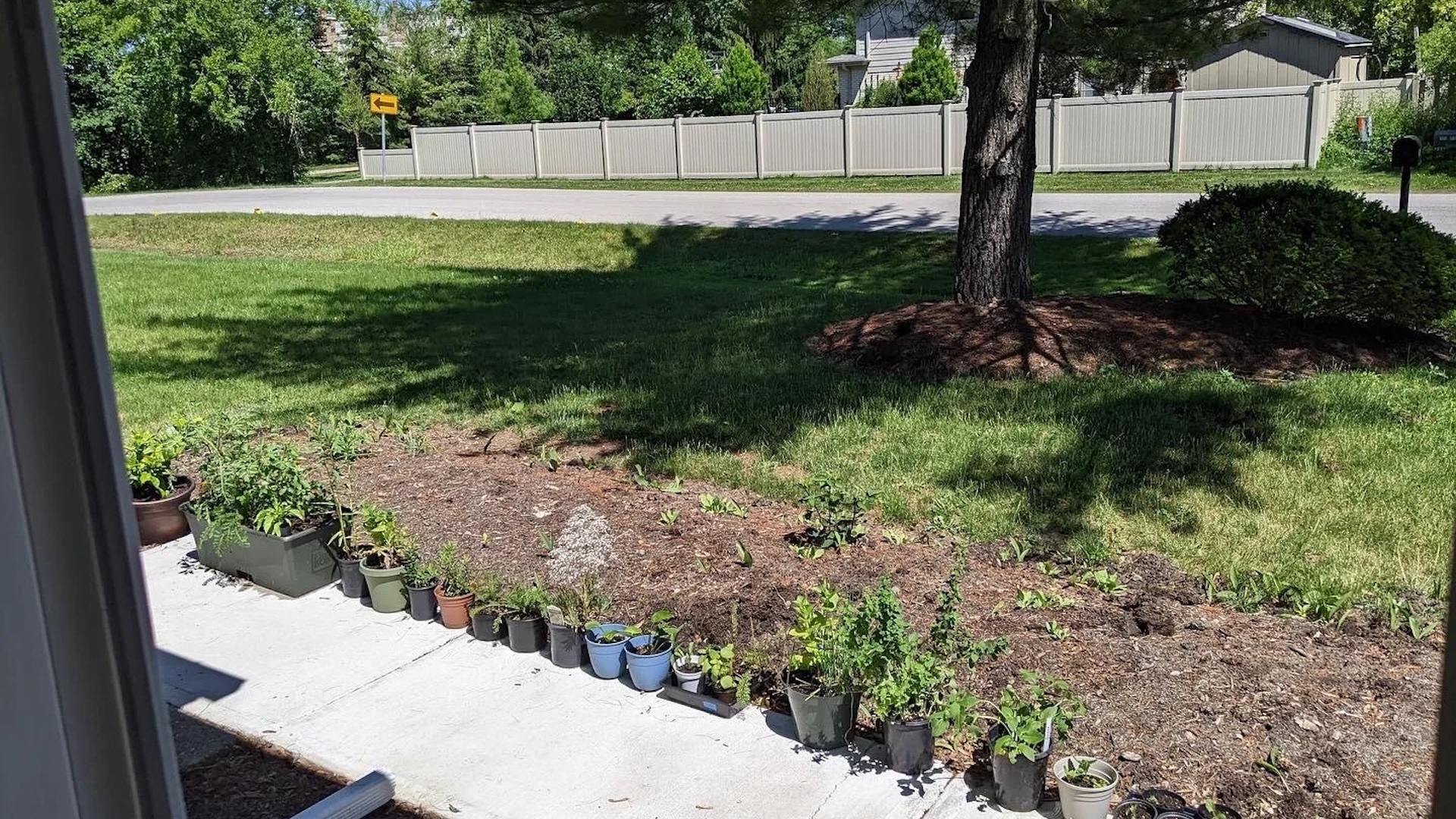 They did leave a patch of grass — perfect for playing or picnicking.