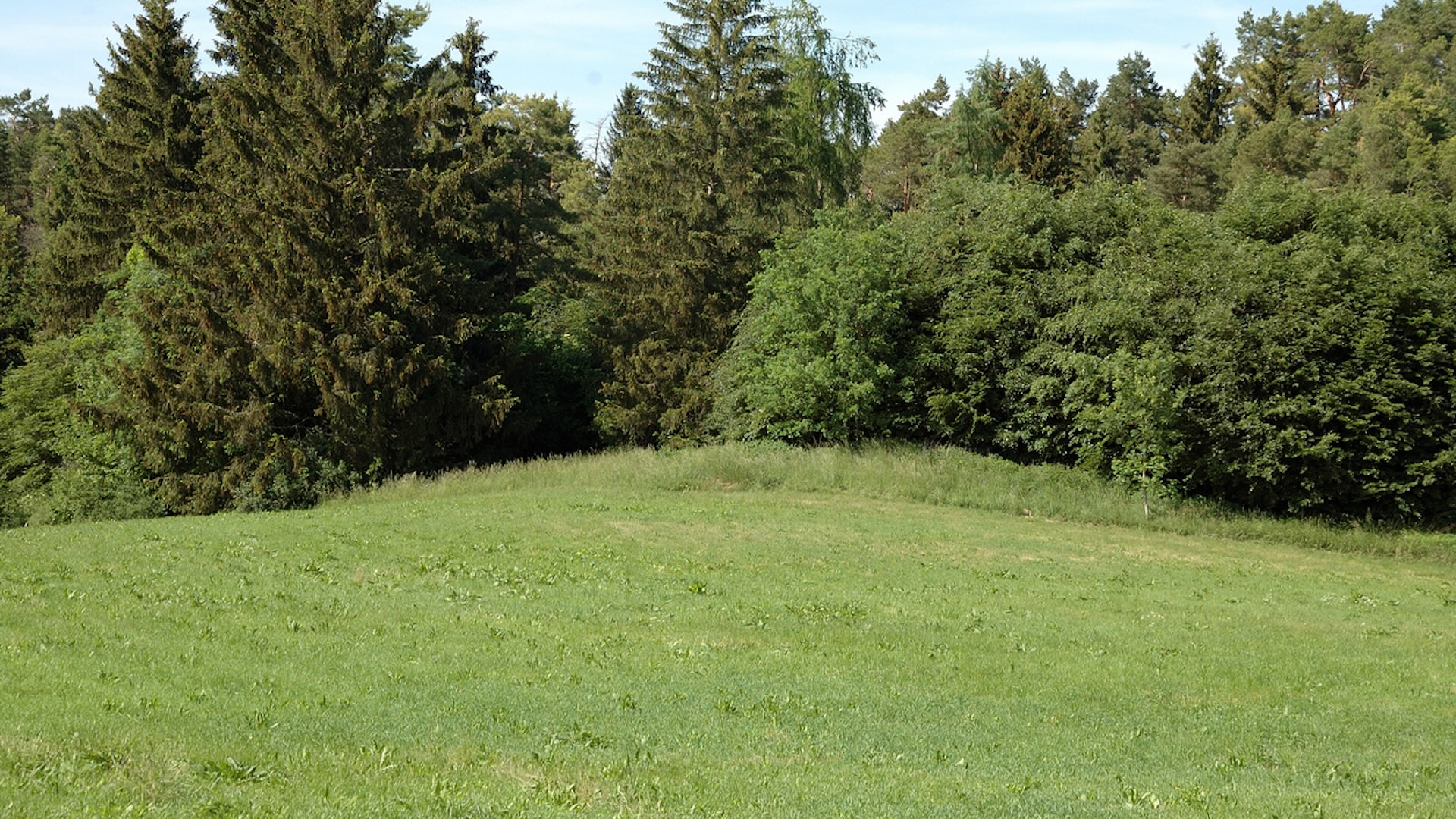 The yard displays one of the major benefits of growing native plants.