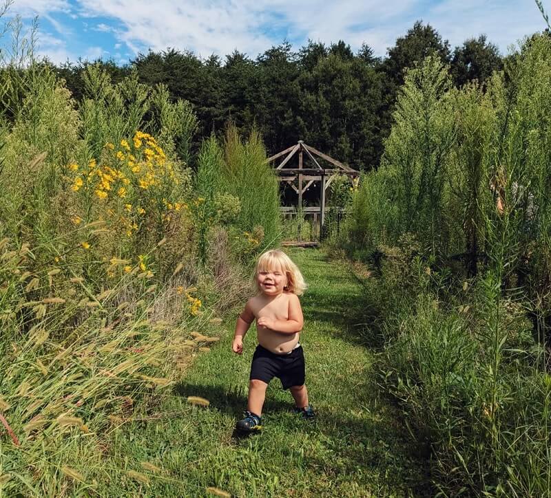 The yard displays one of the major benefits of growing native plants.