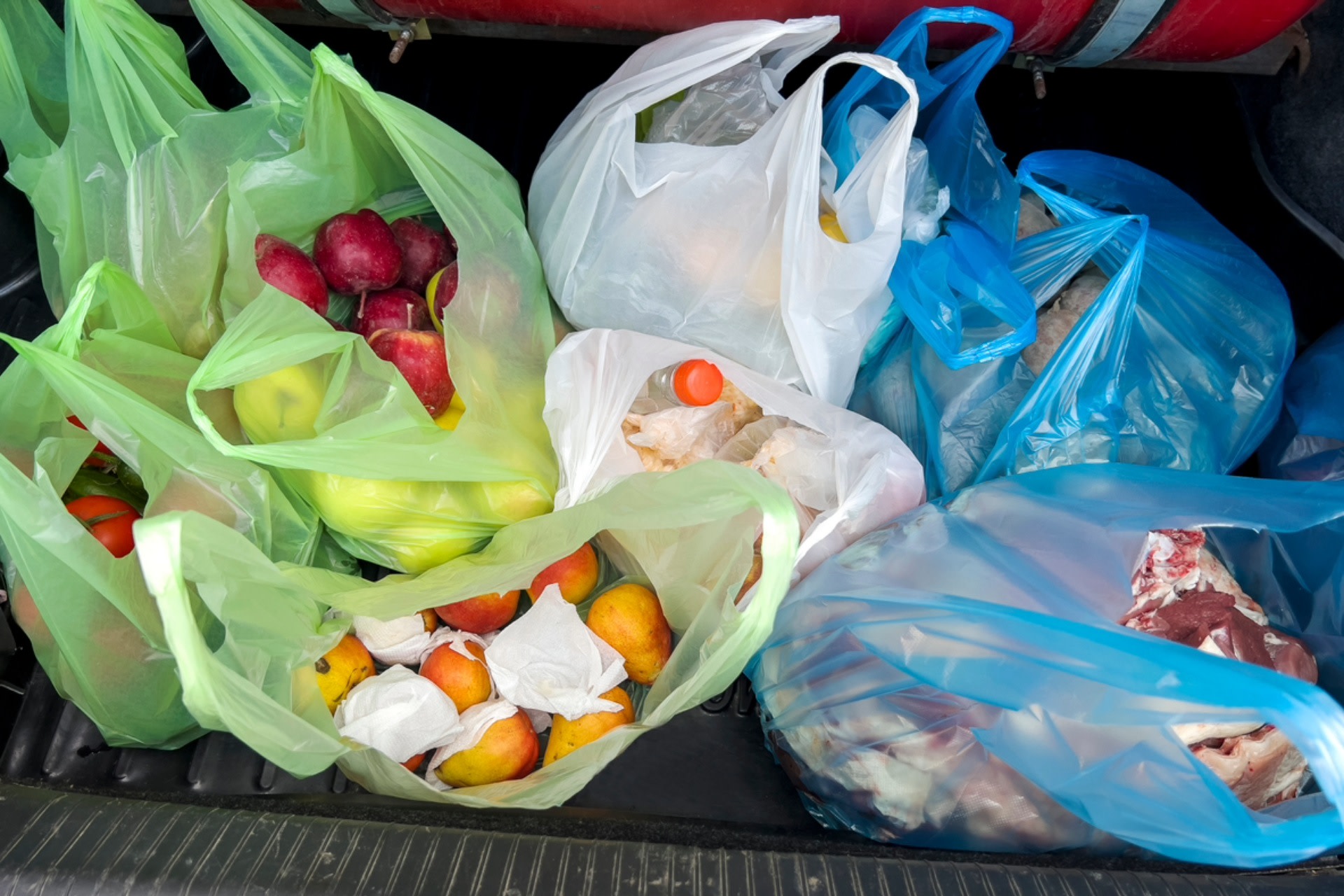 “It ended up providing a lesson for other state and even local governments to learn from and to not allow loopholes like thicker plastic bags.”