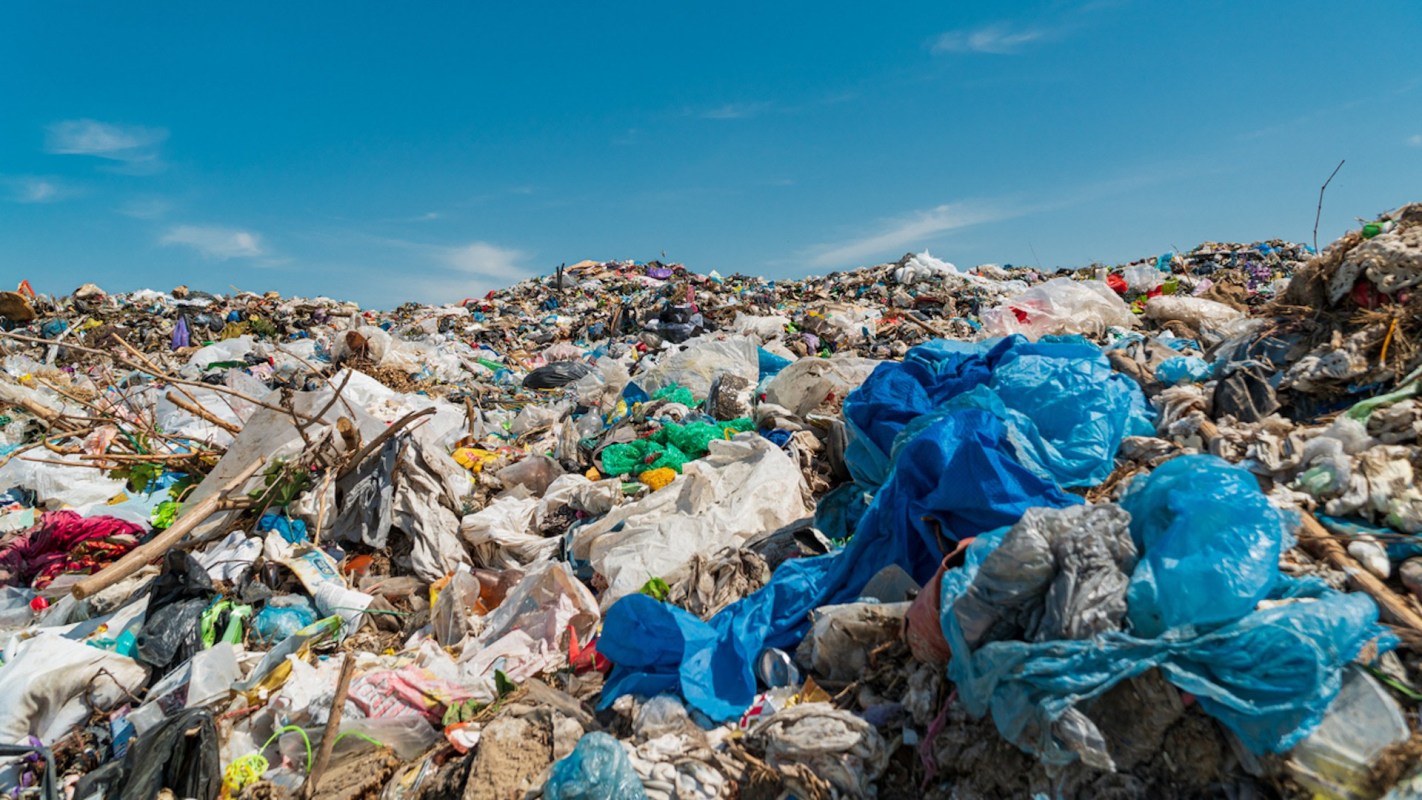 The study examined waste from 50,000 cities and towns around the globe.