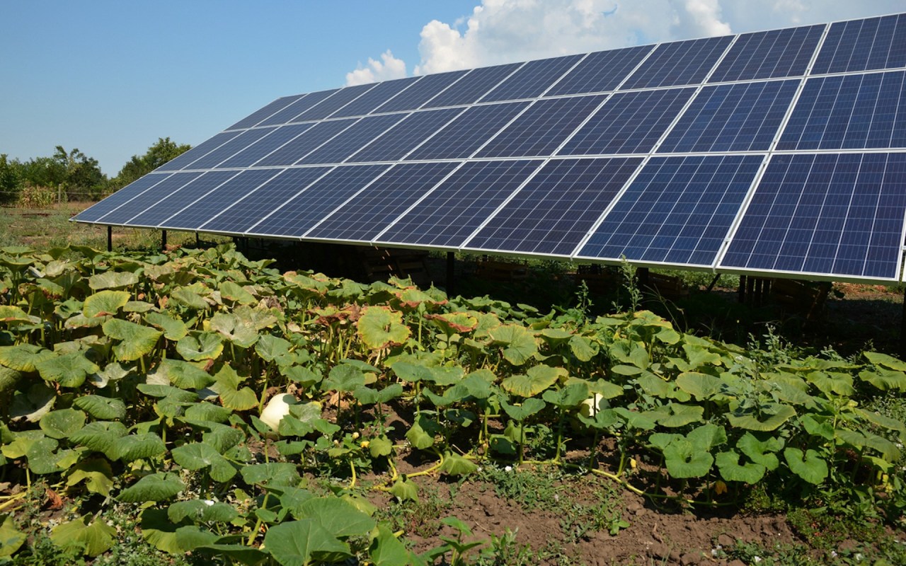 An incredible win-win technology for the health of the Earth.