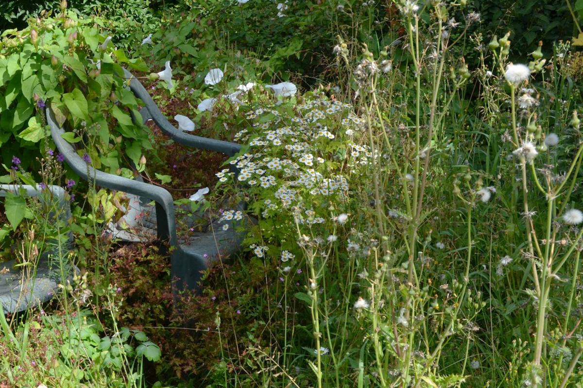 Their yard is overgrown with weeds, and mobility issues mean they are unable to remove the weeds by hand.