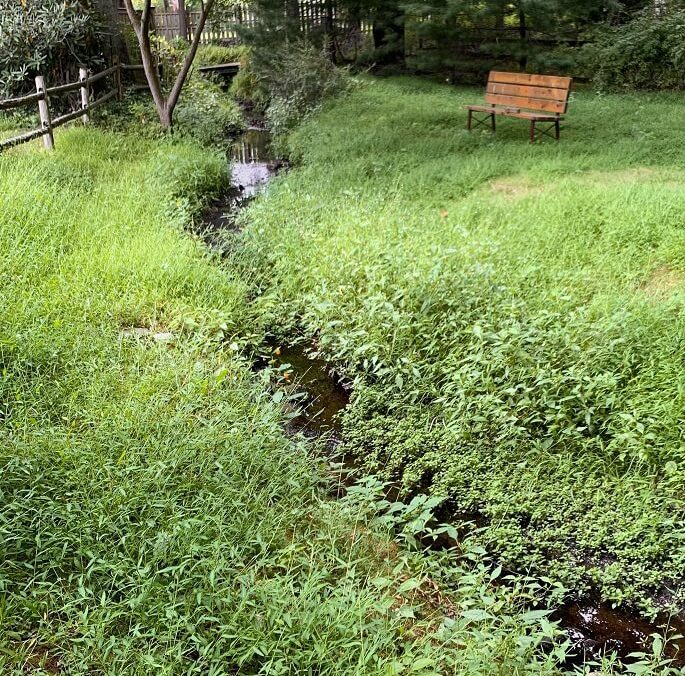 "It feels so good to see your hard work pay off with biodiversity."