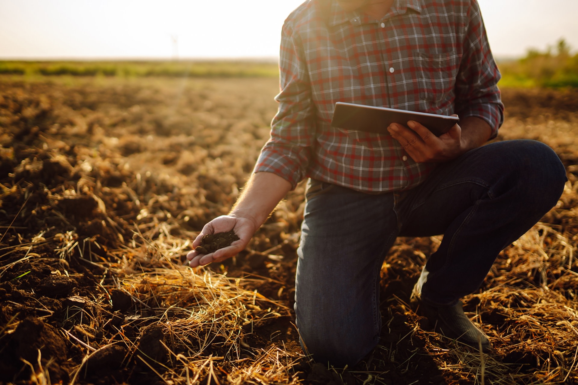 "Farmers who viewed regenerative agriculture as a way to gain more personal freedom also saw that this freedom depended on the support of other farmers."