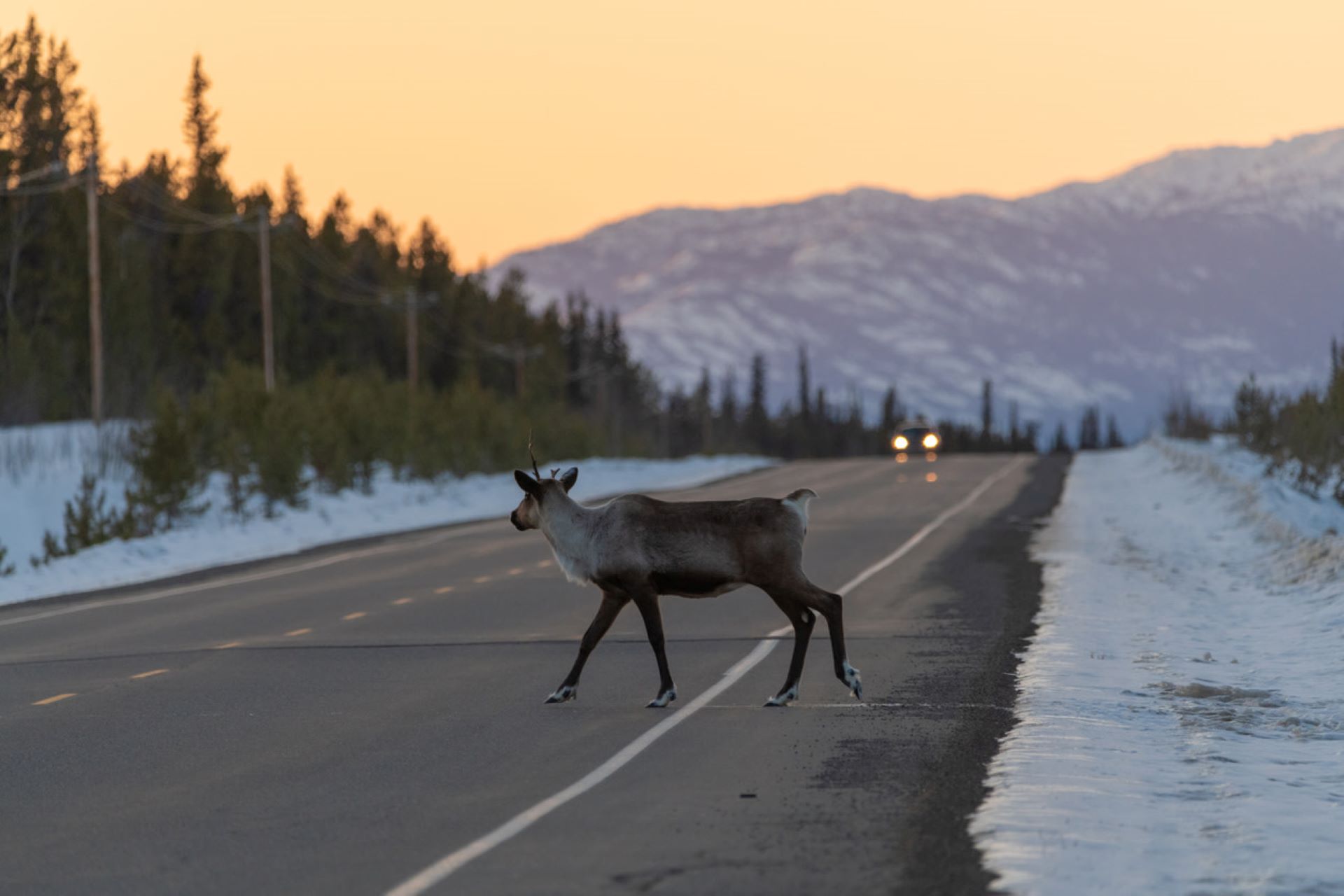 There are over 40 million miles of roads on Earth.