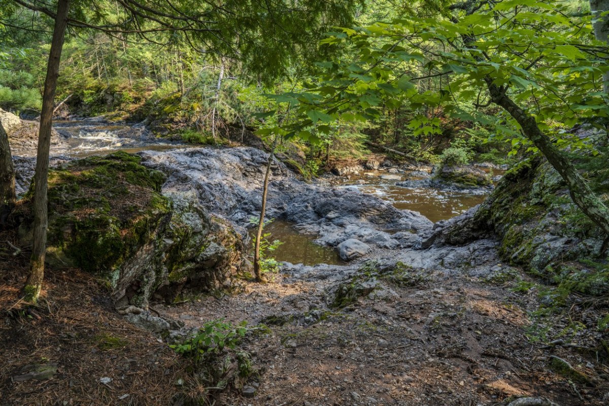 "Passed no fewer than 5 signs warning people not to litter at this hiking trail."