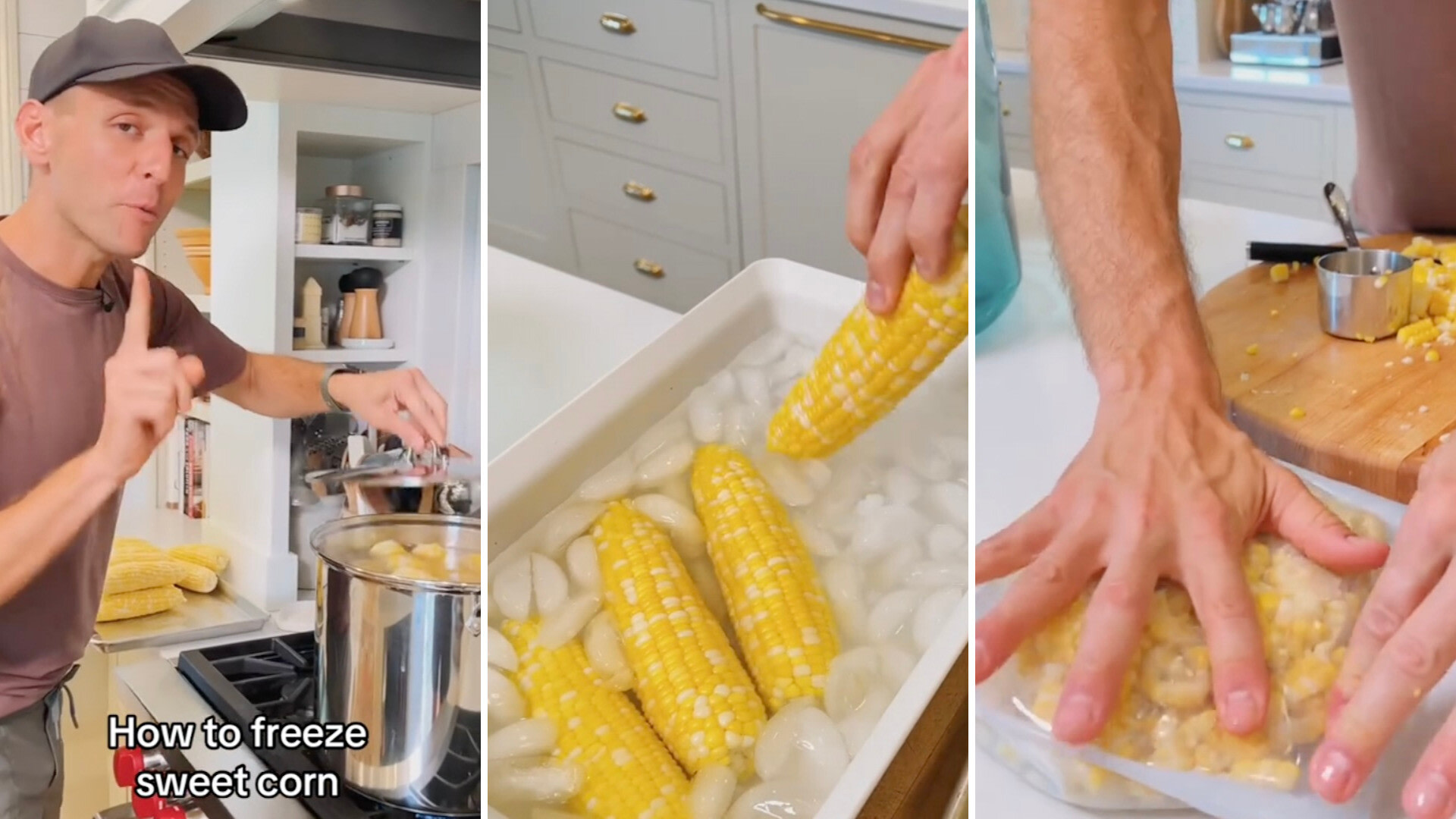 "You are going to have fresh-tasting corn all throughout the winter months."