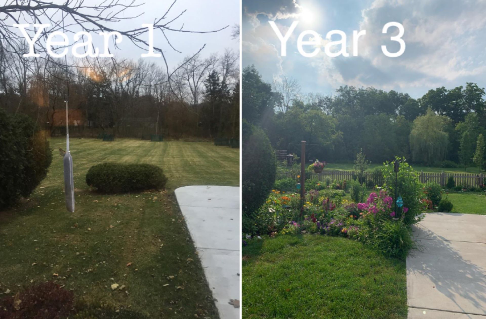 "When we moved in seven years ago, our 3/4 acre lot was almost entirely lawn."