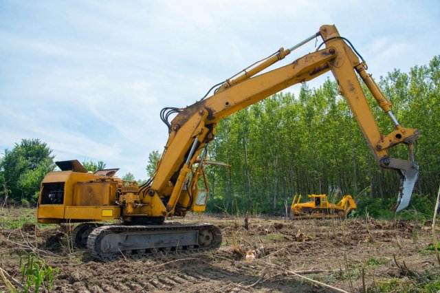 Unfortunately, many HOAs demonstrate a pattern of undermining and ignoring eco-conscious residents who want to save their neighborhood’s trees.